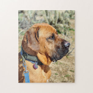 Fila Brasiliero Mastiff Jigsee Quebra-cabeça