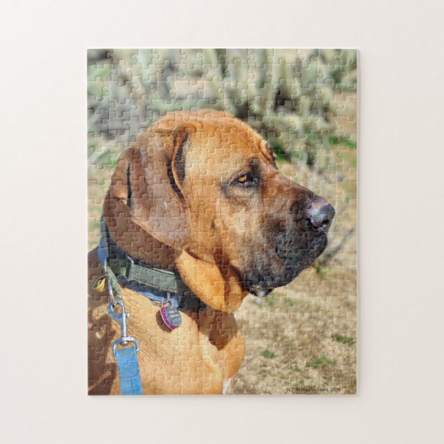 Fila Brasiliero Mastiff Jigsee Quebra-cabeça (Vertical)