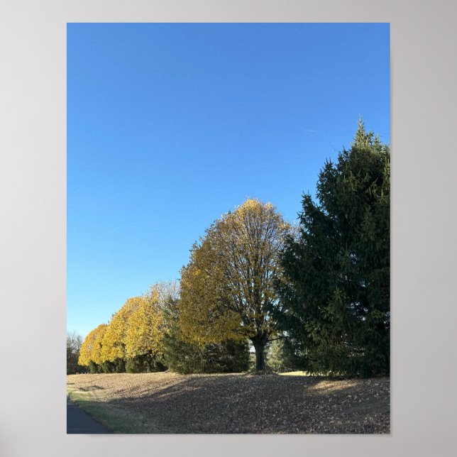 Fileira de Árvores Poster (Frente)