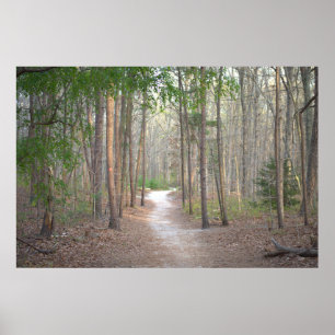 Fileira de Poster das Árvores