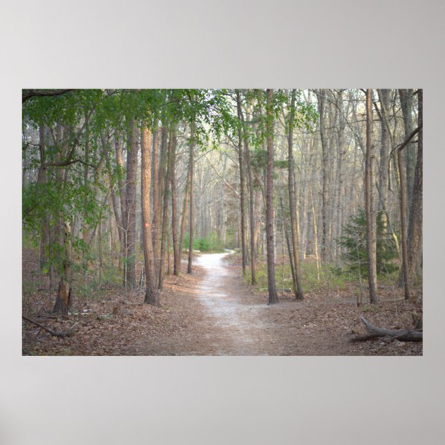 Fileira de Poster das Árvores (Frente)