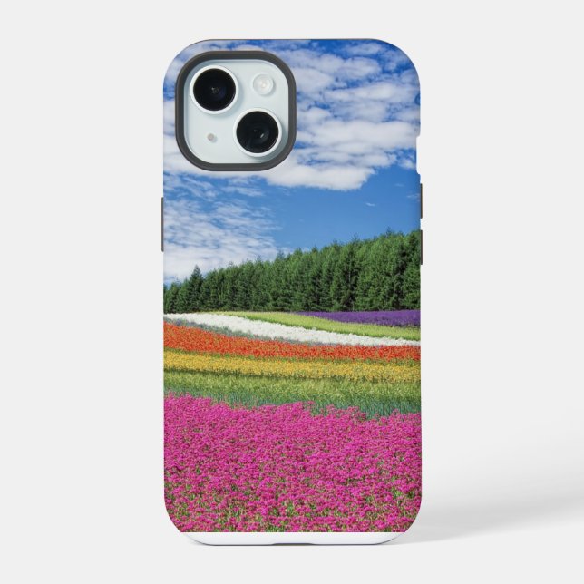 Fileiras de Flores de Campo de Verão (Verso)