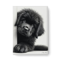 Filhote curioso preto de Newfoundland espiando
