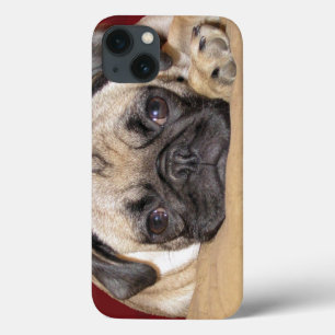 Filhote de cachorro bonito do Pug