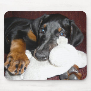 Filhote de cachorro bonito Mousepad do Pinscher do