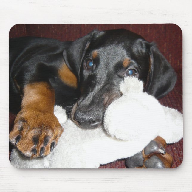 Filhote de cachorro bonito Mousepad do Pinscher do (Frente)
