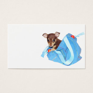 Filhote de cachorro da chihuahua