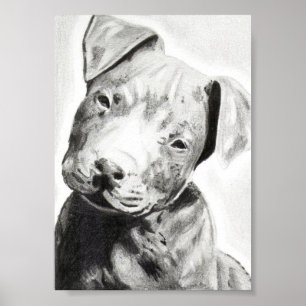 Filhote de cachorro de Pitbull no impressão do