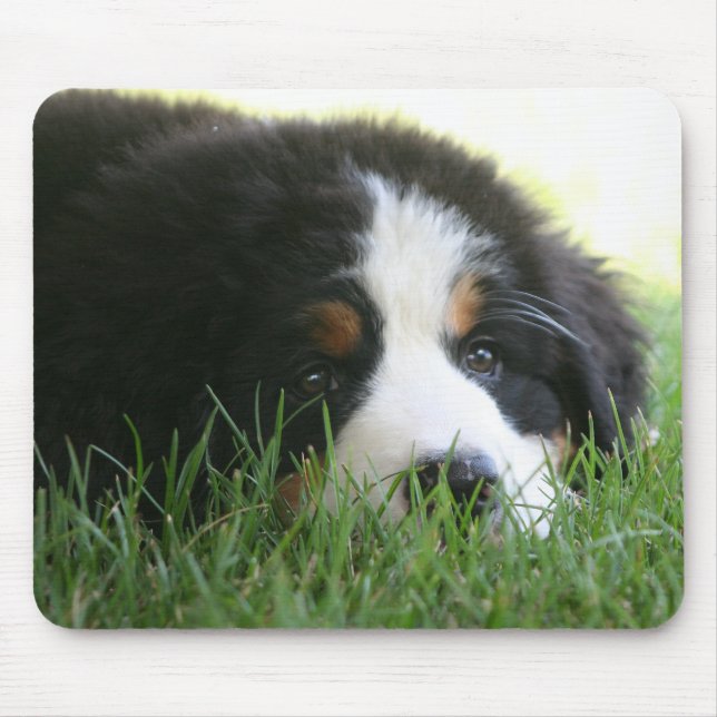 Filhote de cachorro Mousepad de Bernese (Frente)