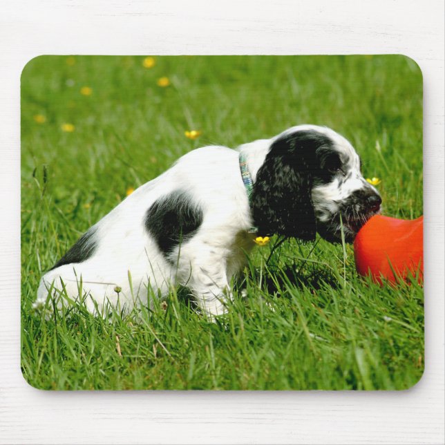 Filhote de cachorro Mousepad de cocker spaniel do (Frente)