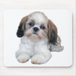 Filhote de cachorro Mousepad de Shih Tzu