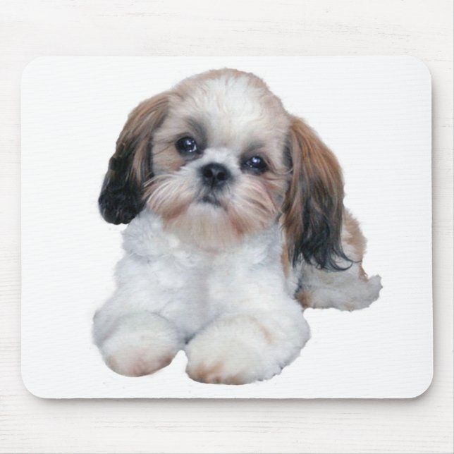 Filhote de cachorro Mousepad de Shih Tzu (Frente)
