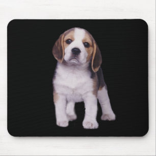 Filhote de cachorro Mousepad do lebreiro