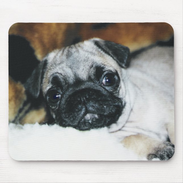 Filhote de cachorro Mousepad do Pug (Frente)