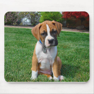 Filhote de cachorro Mousepad do pugilista