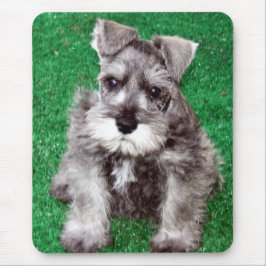Filhote de cachorro Mousepad do Schnauzer diminuto