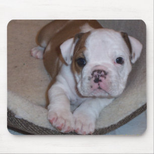 Filhote de cachorro pequeno bonito Mousepad do