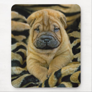 Filhote de cachorro semanas de idade Mousepad de