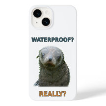 Filhote de foca molhado engraçado