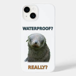 Filhote de foca molhado engraçado
