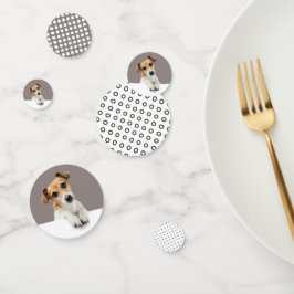 Filhote de Jack Russell Doce Adorável Bebê Russell