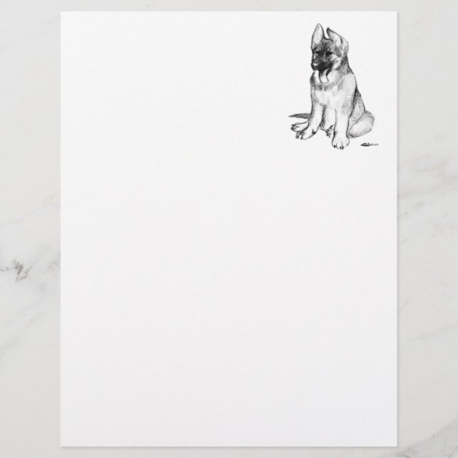 Filhote de Pastor Alemão (Frente)