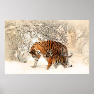 filhote de tigre e mãe na poster de neve