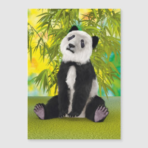 Filhote de Urso Panda