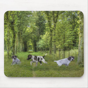 Filhotes de cachorro alemães Mousepad do ponteiro