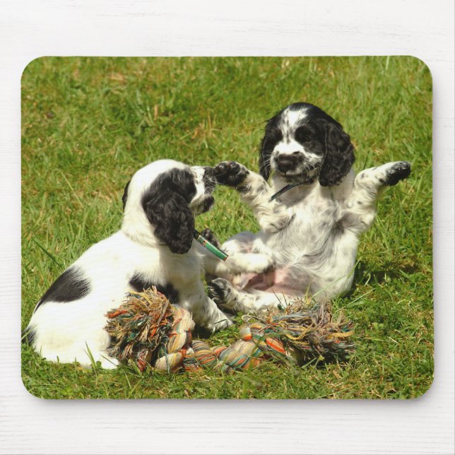 Filhotes de cachorro Mousepad de cocker spaniel do (Frente)