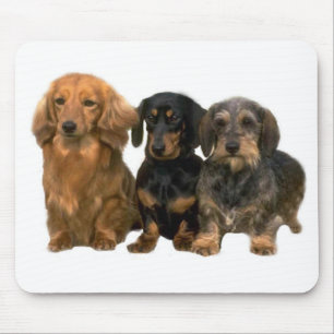 Filhotes de cachorro Mousepad do Dachshund