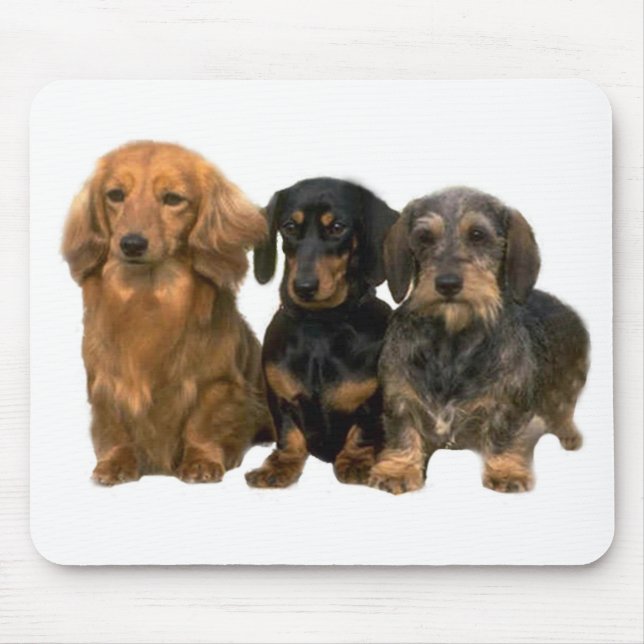Filhotes de cachorro Mousepad do Dachshund (Frente)