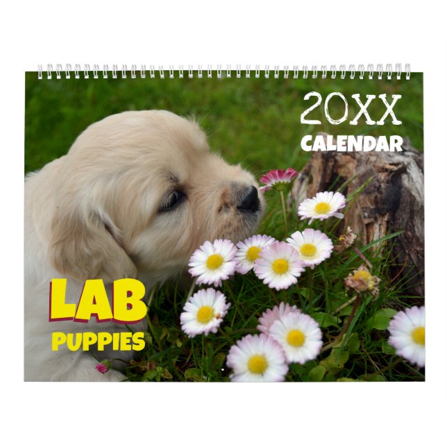 Filhotes de Labrador Retriever Fofos Calendário 20 (Capa)