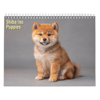 Filhotes de Shiba Inu Calendário 2027