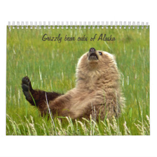 Filhotes de urso do urso do calendário de Alaska