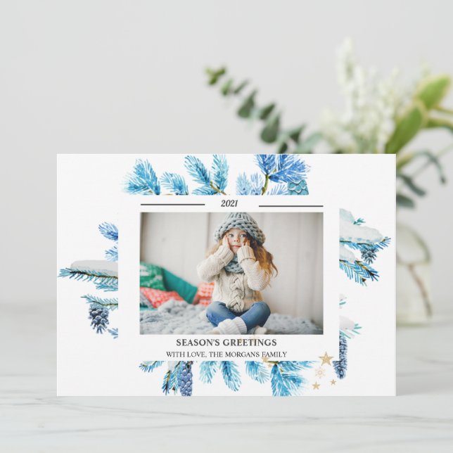 Filiais De Árvore De Pinheiros Azuis Fotografia SE (Em pé/Frente)