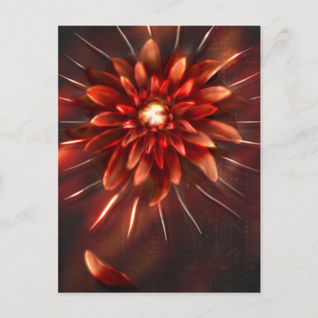 Fim das flores - Cartão postal (Frente)