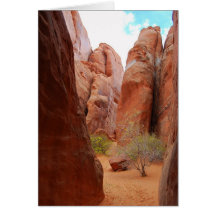 Fins, Arches National Park, Cartão de Utah