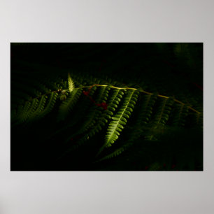 Fios solares de madeira (6159), poster