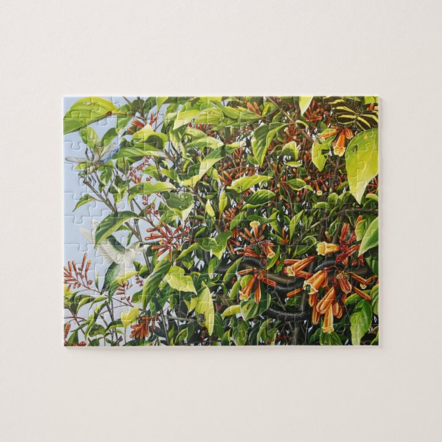 Firebush com quebra-cabeça do colibri e dos (Horizontal)