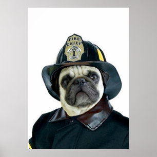 Fireman Pug poster