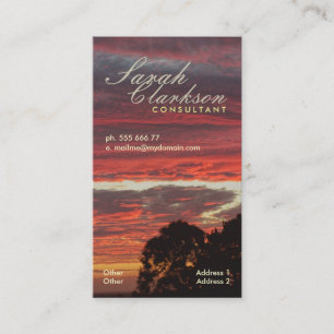 Firey mergulha o cartão de visita do vertical de