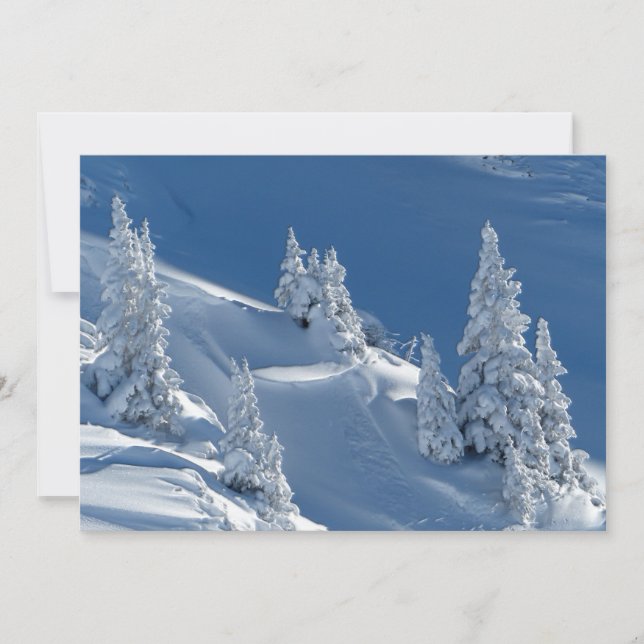 Firme verde coberta com neve de inverno (Frente)