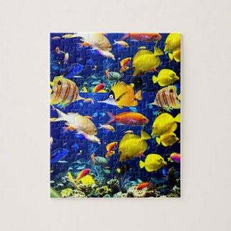 Fish Jigsera Quebra-cabeça