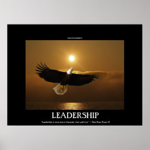 Fishing Bald Eagle & Sunset Motivational Poster