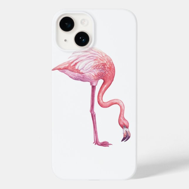 Flamingo (Verso)