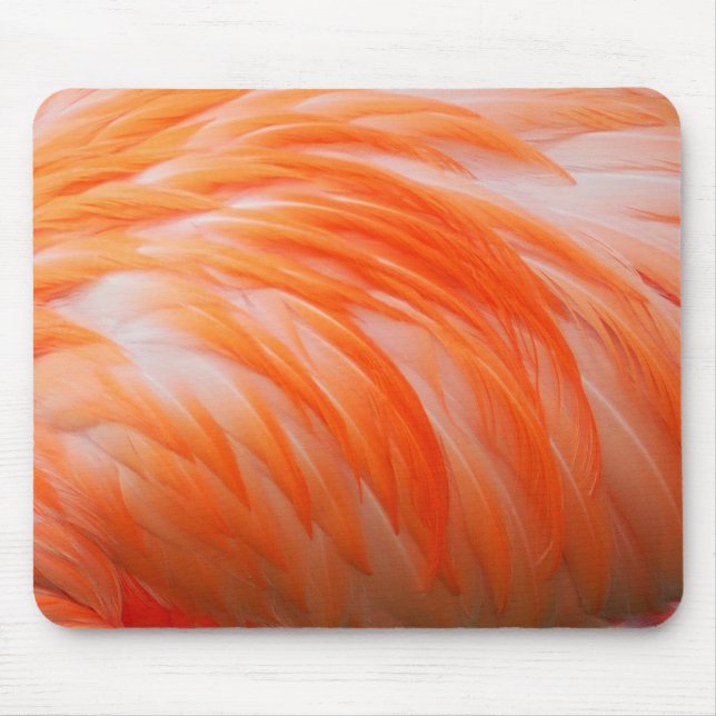 Flamingo 2 Mousepad (Frente)