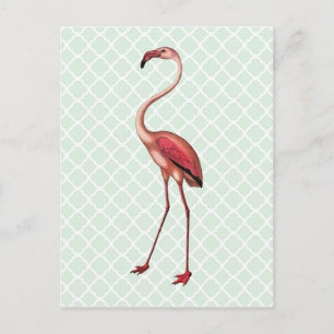 Flamingo Antigo em Cartão Postal Quatrefoil de Hor
