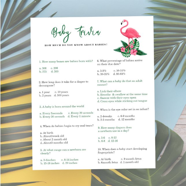 Flamingo - Baby Trivia | Jogo Chá de fraldas (Criador carregado)