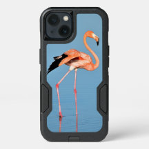 Flamingo Lake Walk | Aves